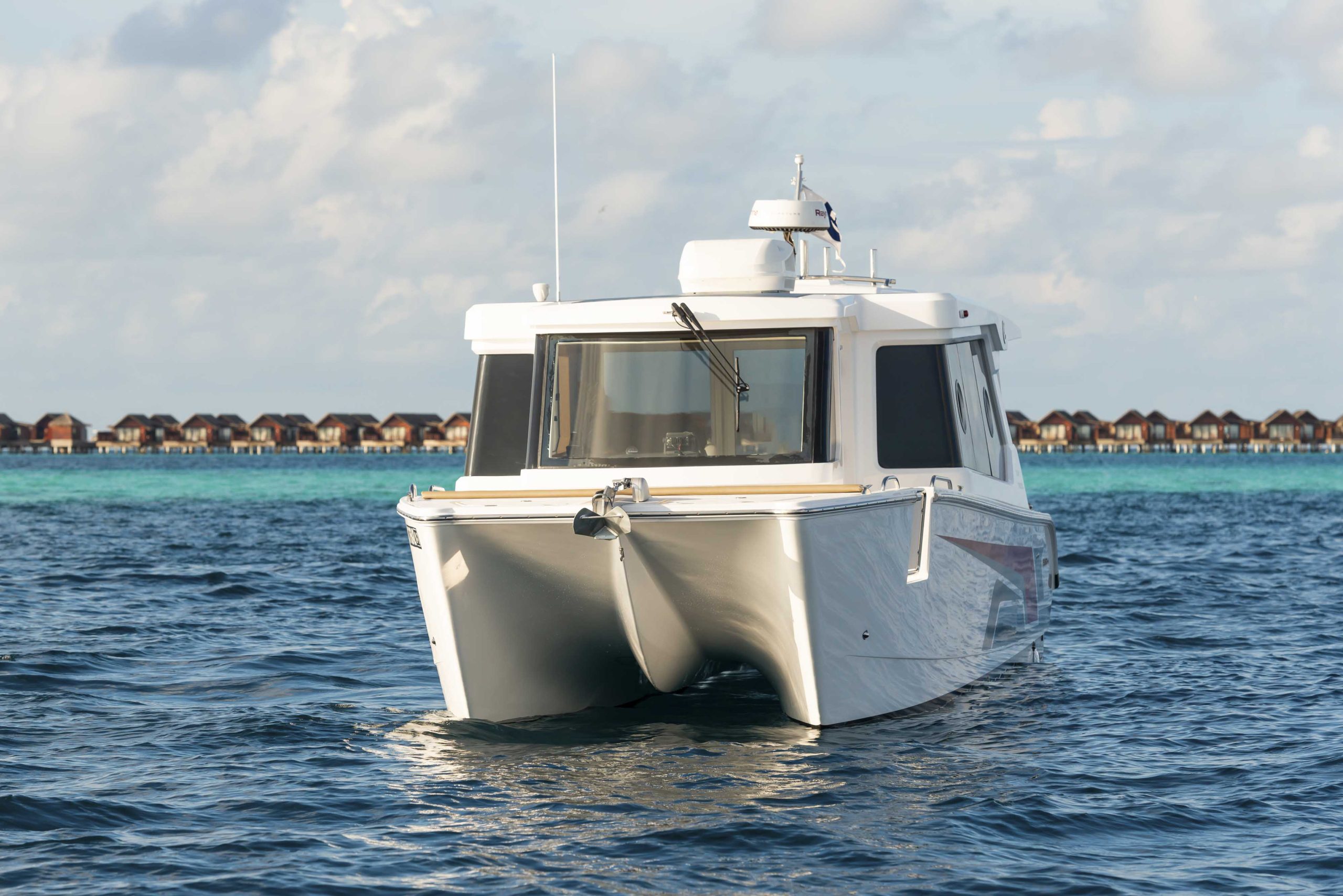 SilverCat 34Lux 2 1 scaled SilverCat 34LUX