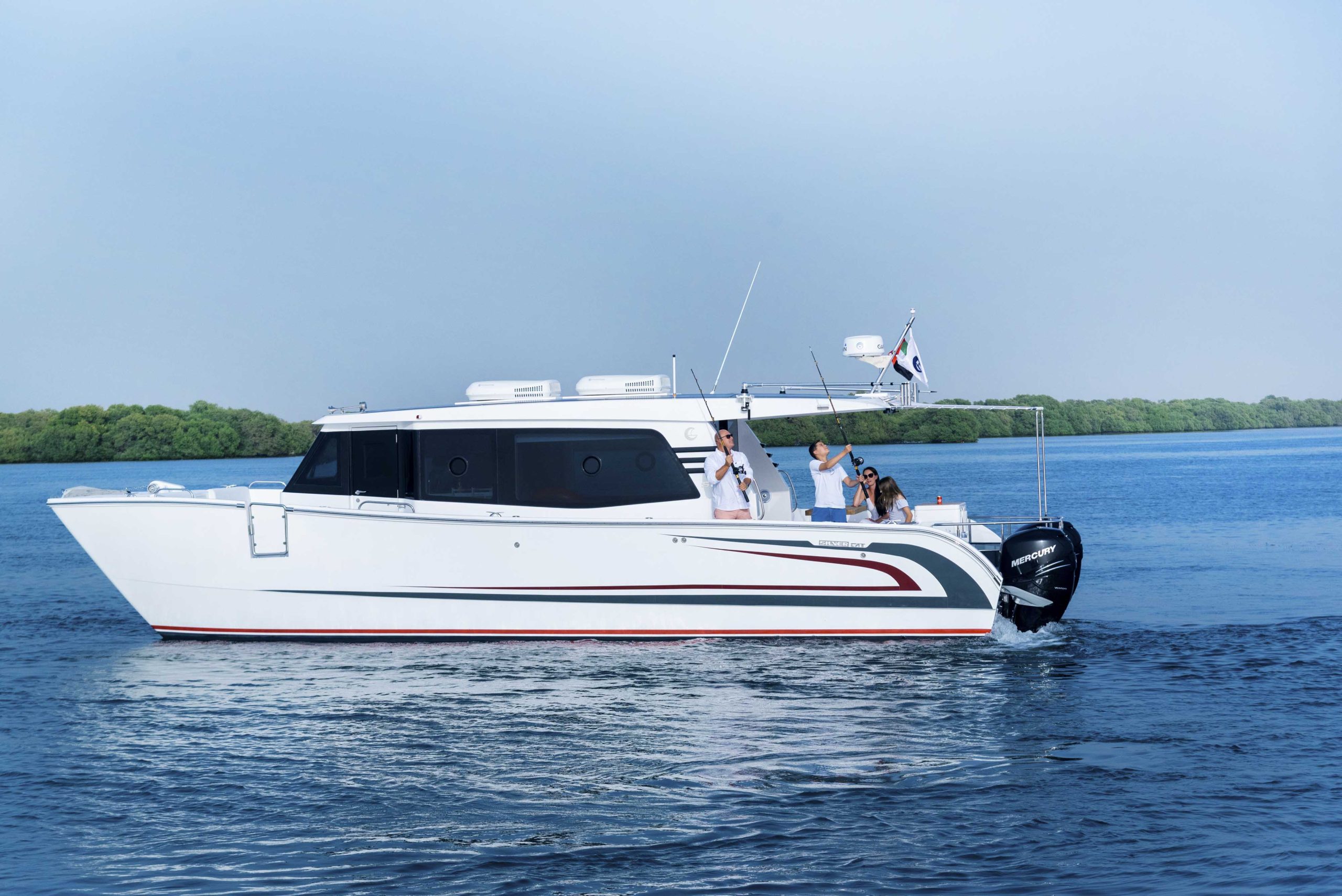 SilverCat 40Lux (1)